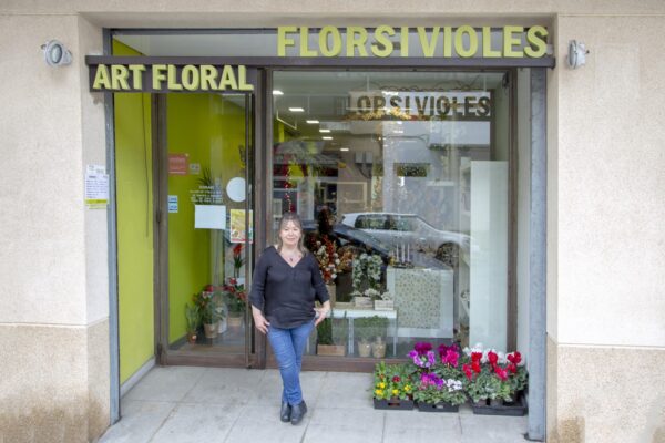 Flors i Violes